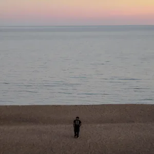 survive, an interlude
