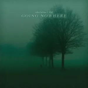 Going Nowhere