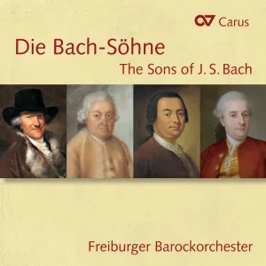 Concerto in D Major for Traversflute, Strings and Basso continuo, BR WFB C15 : W.F. Bach: Concerto in D Major for Traversflute, Strings and Basso continuo, BR WFB C15 - III. Vivace