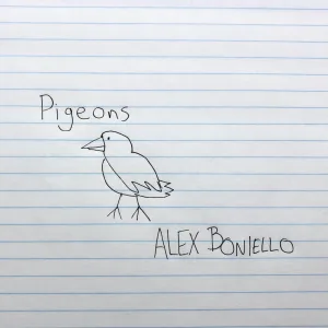 Pigeon