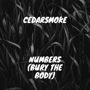 Numbers (bury the body)