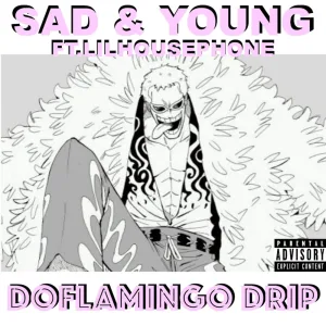Doflamingo Drip (feat. Lil Housephone)