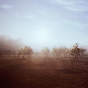 Sounds of Light