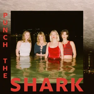 Punch The Shark