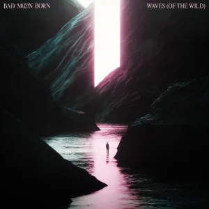 Waves (of the Wild)