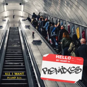 All I Want (Nice Girl Remix)
