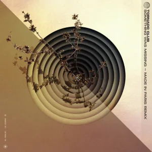 Something Was Missing (PARIS Remix)