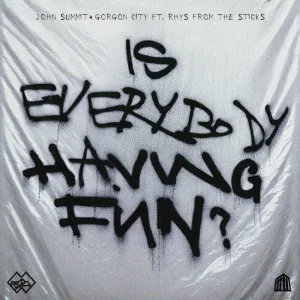 Is Everybody Having Fun? (feat. rhys from the sticks)
