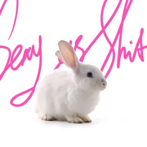 White Rabbit artwork
