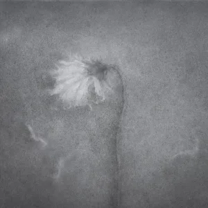 Dying Away in the Deep Fall