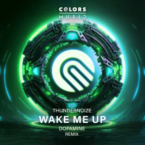 Wake Me up (Remix)