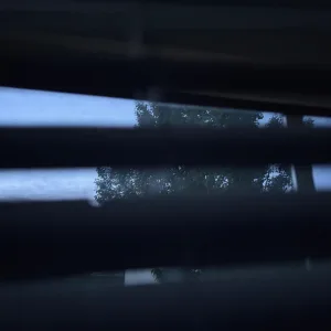 silhouette