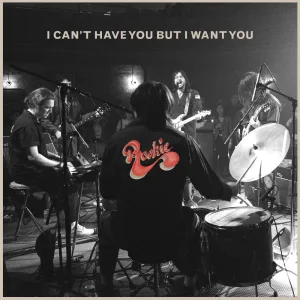 I Can't Have You
