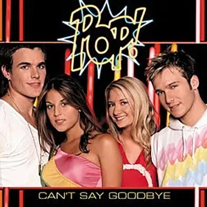Can't Say Goodbye (WIP Wap mix)