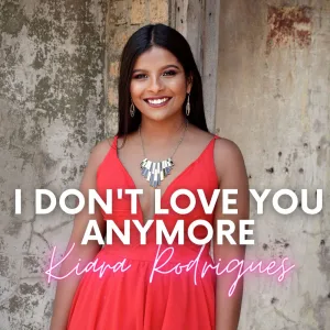 I Don't Love You Anymore