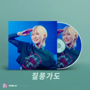 질풍가도