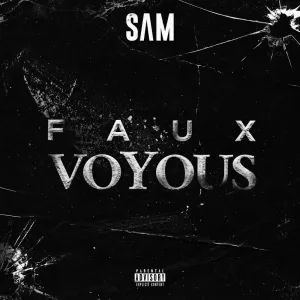 Faux voyous