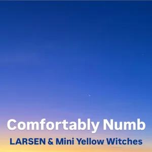 Comfortably Numb