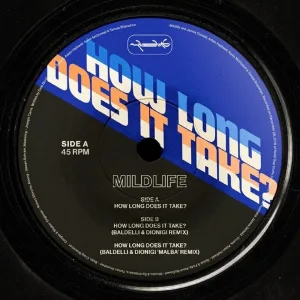 How Long Does It Take? (Baldelli & Dionigi remix)