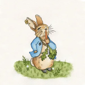 PETER RABBIT