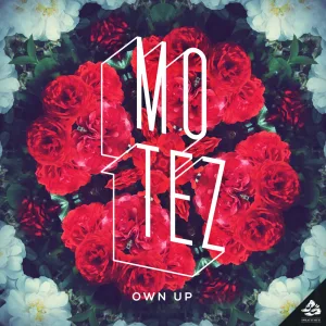 Own Up Mo Di remix