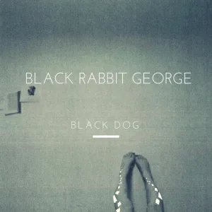 Black Dog