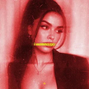 i wanna go (slowed & reeverb)