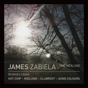 The Healing (Midland remix)