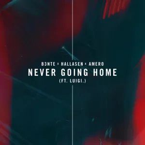 Never Going Home (feat. Luigi Neighbours)