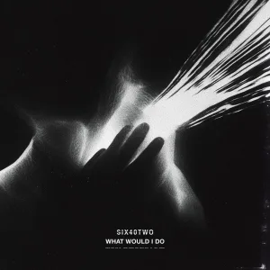 What Would I Do (Deniz Koyu & SIX40TWO VIP remix)