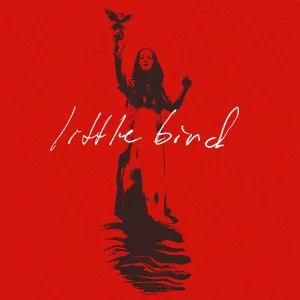 Little Bird