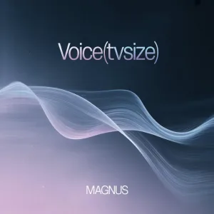 Voice(tvsize)