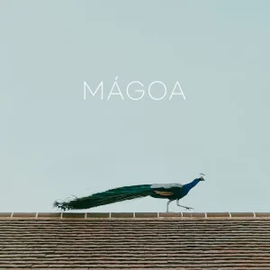 Magoa