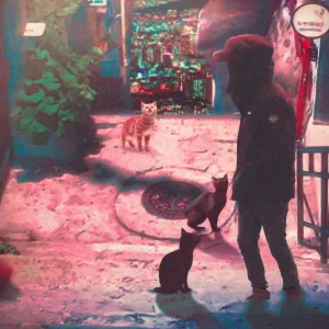 street cat Instrumental