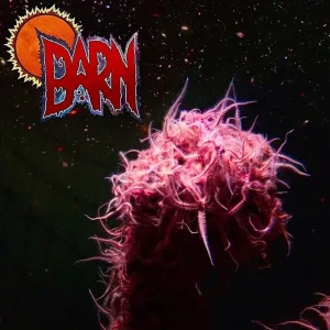 Origin of Soil