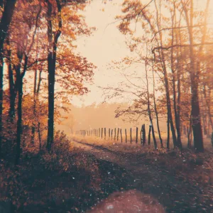 Endless