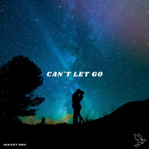 Can't Let Go