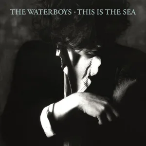 The Waves (2004 Remaster)