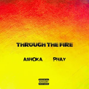 Through the Fire (remix)