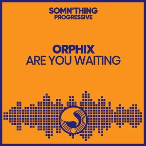 Are You Waiting (Original Mix)