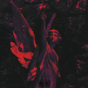 Broken wings