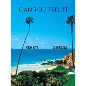 Can You Feel It ?