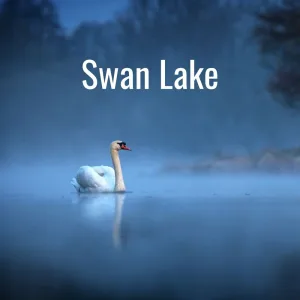 Tchaikovsky: Tchaikovsky: Swan Lake, Op.20, TH.12 / Act 1: No.4f Pas de trois: Coda (Allegro vivace)