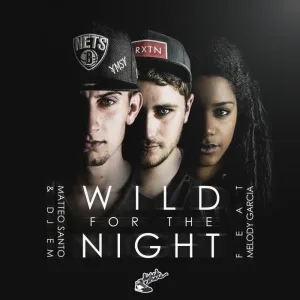 Wild for the Night : Wild for the Night