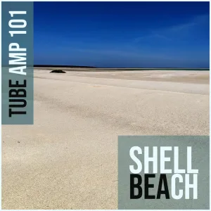 Shell Beach