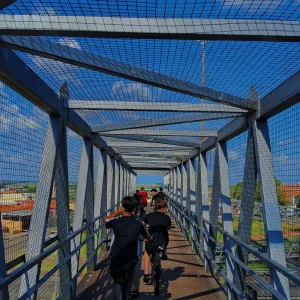 Barras De Um Mlk Sonhador