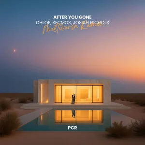 After You Gone (Multiversa Remix)