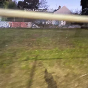 Cut