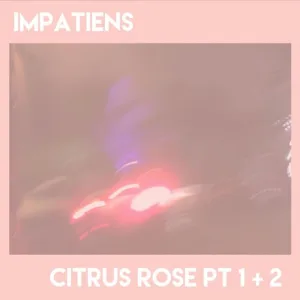 Citrus Rose, Pts. 1 & 2