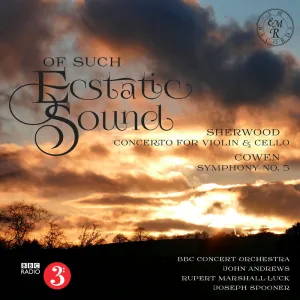 Symphony No. 5 in F Minor: I. Molto sostenuto e maestoso - Allegro, poco tranquillo